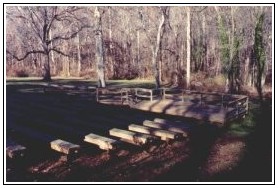 Singing benches Singing benches